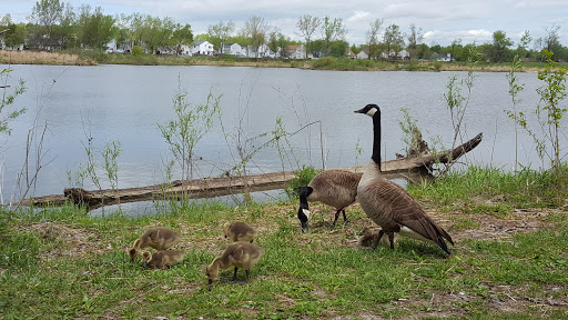 Nature Preserve «Rock Run Preserve - Black Road Access», reviews and photos, Black Rd, Joliet, IL 60431, USA