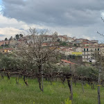 Photo n°1 de l'avis de Federico.a fait le 21/05/2019 à 10:10 sur le  Perla Nera à Paternopoli