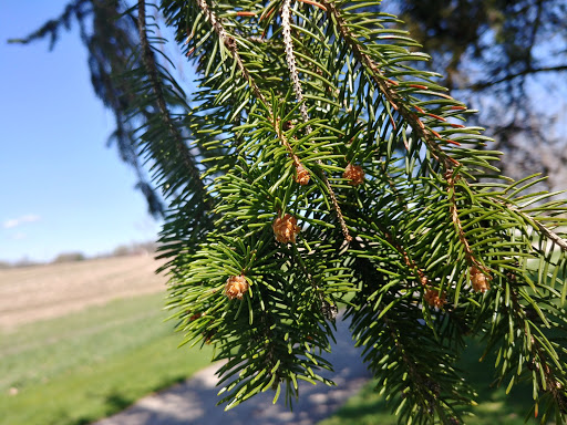 Park «Norristown Farm Park», reviews and photos, 2500 Upper Farm Rd, Norristown, PA 19403, USA