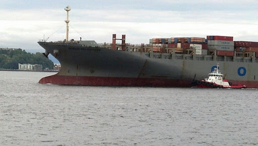 Event Venue «Seattle Center», reviews and photos, 305 Harrison St, Seattle, WA 98109, USA