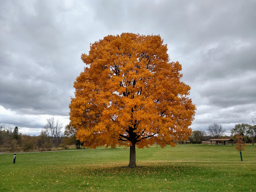 Nature Preserve «Bode Lake», reviews and photos, Bode Rd, Streamwood, IL 60107, USA