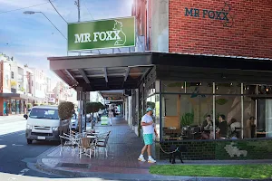 Mr Foxx image