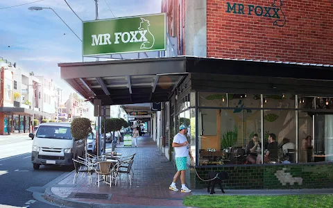 Mr Foxx image