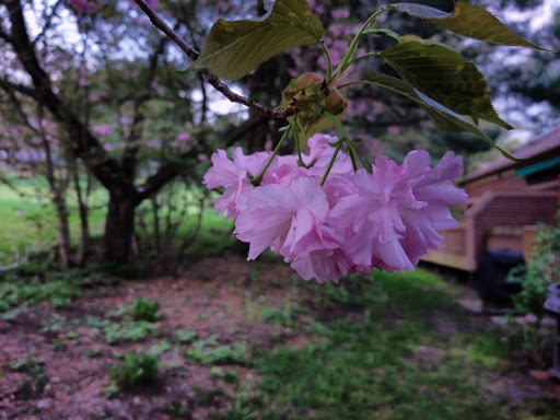 43 Heritage Dr, Avon, CT 06001, USA