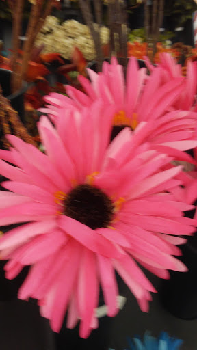 Craft Store «Hobby Lobby», reviews and photos, 3925 Dodge St, Dubuque, IA 52003, USA