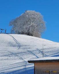 Photo n°30 de Hôtel Restaurant Le Temps Rêvé à Autrans-Méaudre en Vercors ()