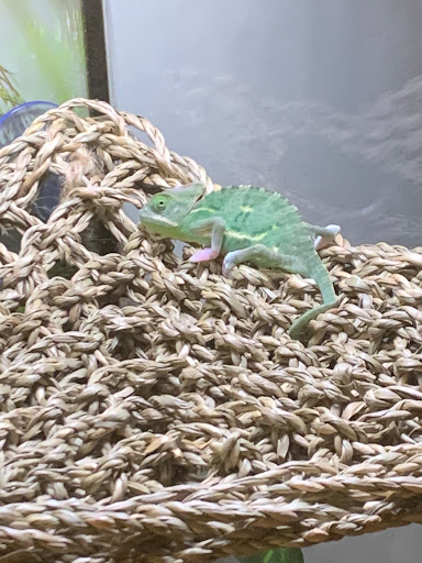 Pet Supply Store «PetSmart», reviews and photos, 5154 Nicholson Ln, Kensington, MD 20895, USA