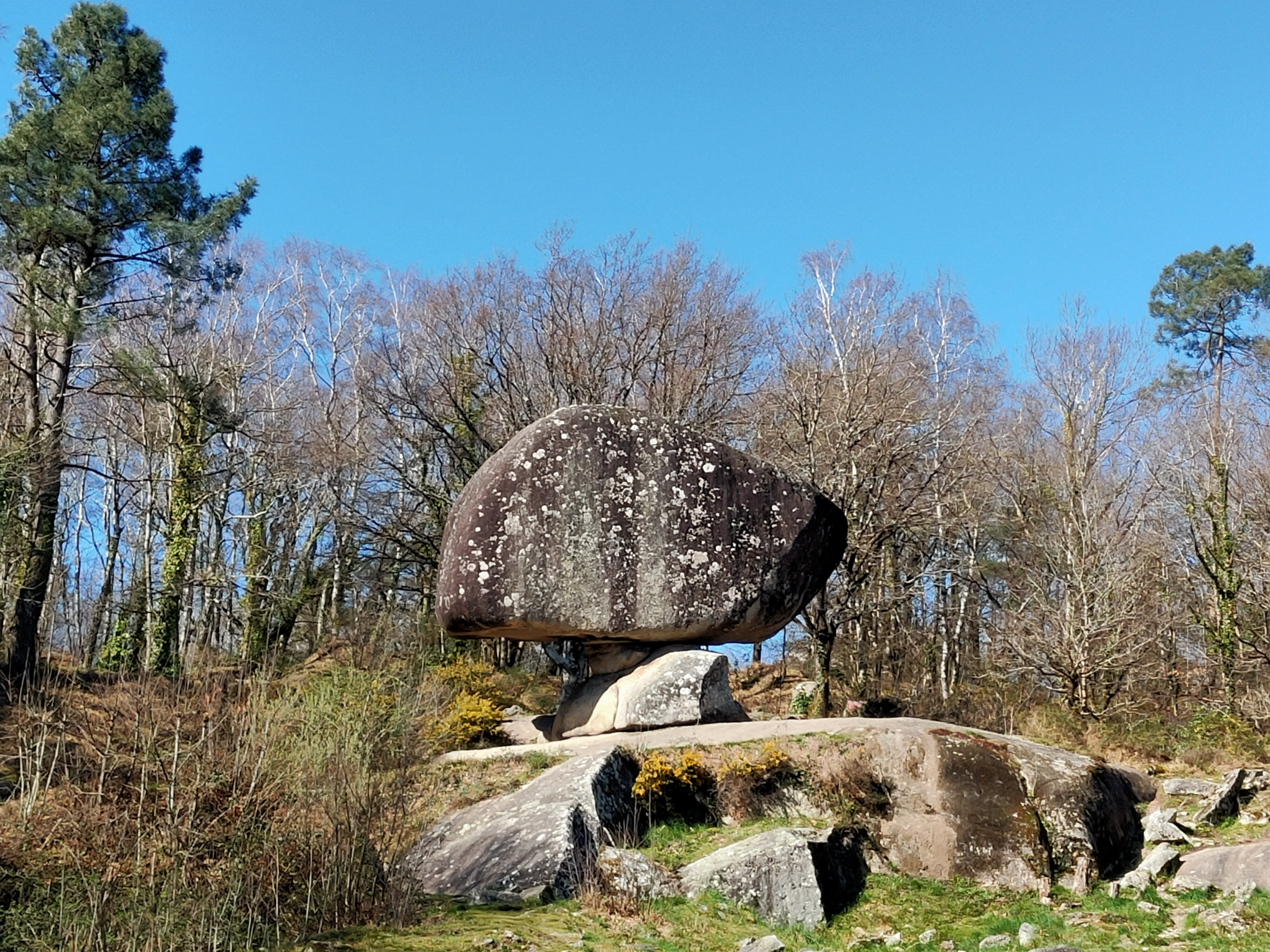 Photo n° 1 de l'avis de Yves.o fait le 29/03/2021 à 06:12