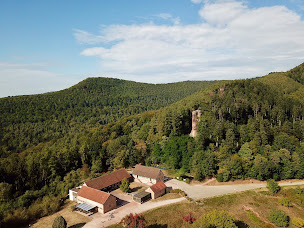 Photo n°24 de Café des 4 Châteaux à Lembach ()