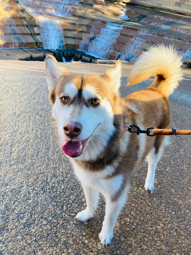 Park «Fort Worth Water Gardens», reviews and photos, 1502 Commerce St, Fort Worth, TX 76102, USA