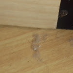 Photo n°30 de l'avis de Paris.i fait le 31/07/2020 à 11:46 sur le  Hotel Residence dei Fiori - Lago Maggiore Baveno à Baveno