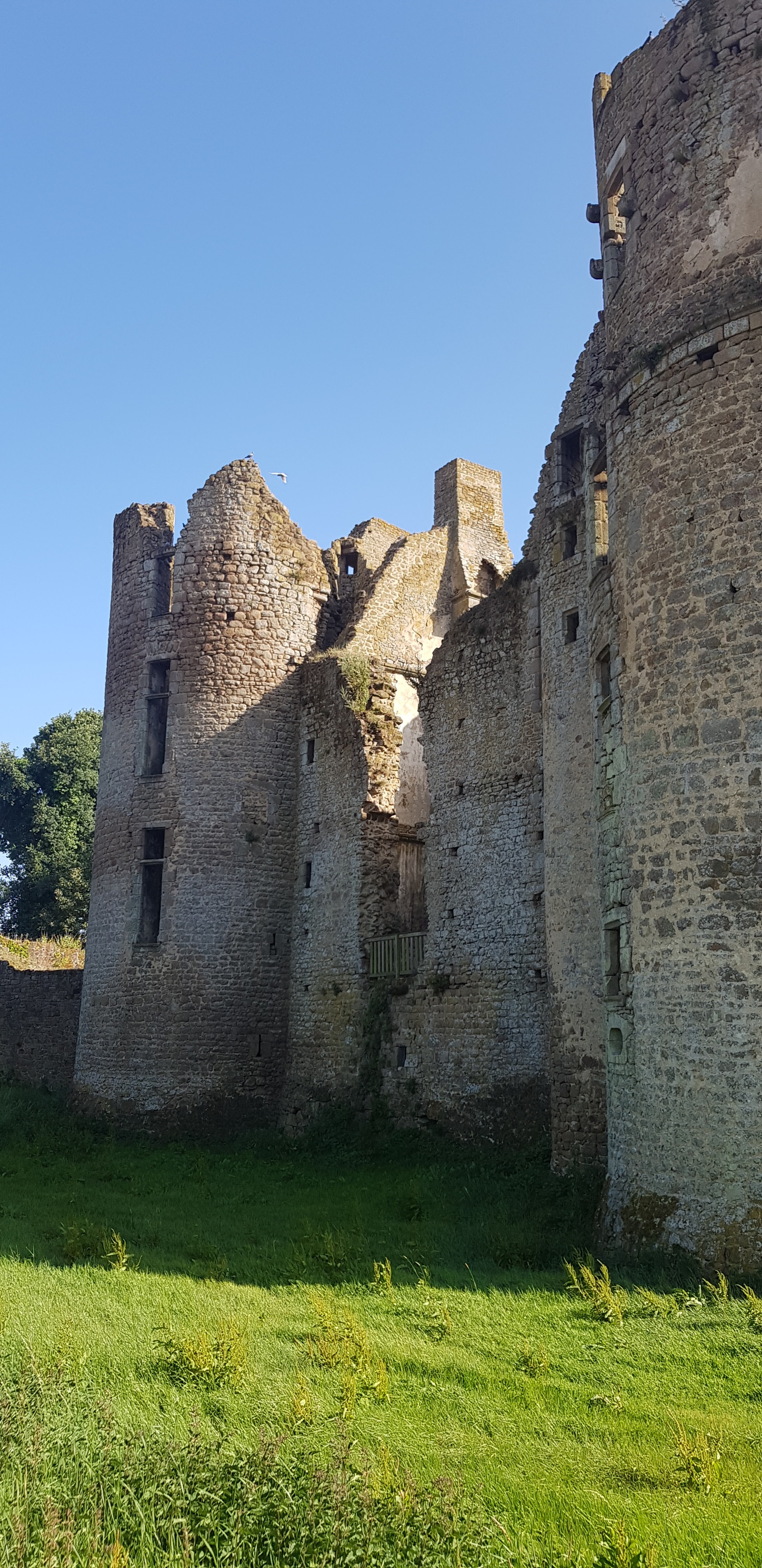 Photo n° 4 de l'avis de Cedric.a fait le 25/07/2020 à 12:29