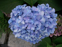 Labor of Love Doula Services - Photo 2 - Car repair in North Kingstown, RI, Providence