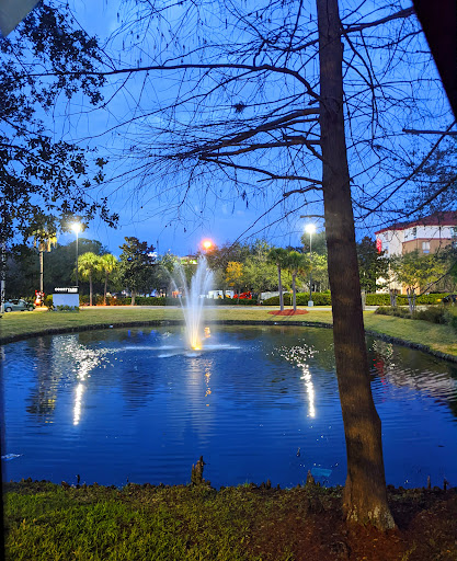 American Restaurant «Cracker Barrel Old Country Store», reviews and photos, 4680 Lenoir Ave, Jacksonville, FL 32216, USA