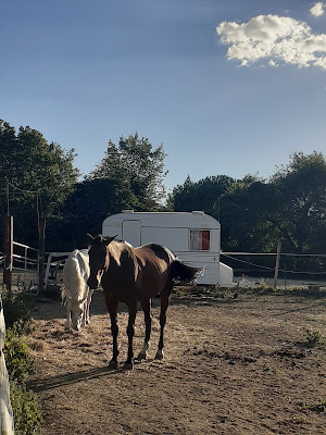 LE MAS DES PONEYS à Chambon