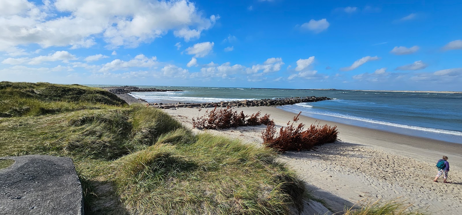 Zdjęcie Thyboron Beach z proste i długie