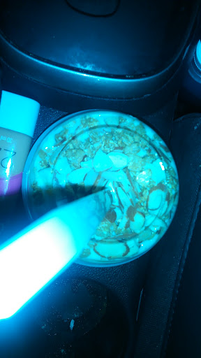 Ice Cream Shop «La Michoacana Premium Pilsen», reviews and photos, 1855 S Blue Island Ave, Chicago, IL 60608, USA