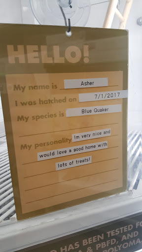 Pet Supply Store «Petco Animal Supplies», reviews and photos, 35860 Chester Rd, Avon, OH 44011, USA