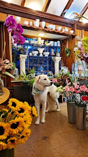 Florist «Guilford White House Florist», reviews and photos, 966 Boston Post Rd, Guilford, CT 06437, USA