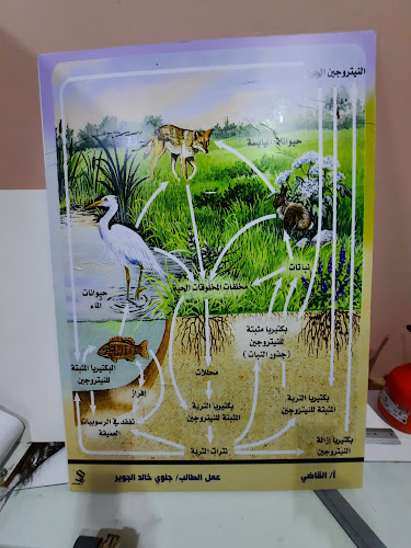 وكالة تليد للدعاية والإعلان - الرياض