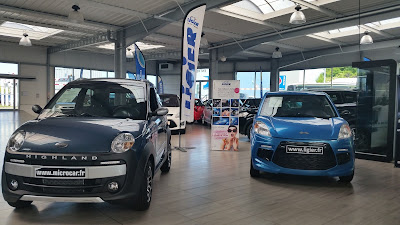 VOITURES SANS PERMIS LIGIER ET MICROCAR - STYLES AUTOMOBILES GROUPE DUGARDIN à Faches-Thumesnil