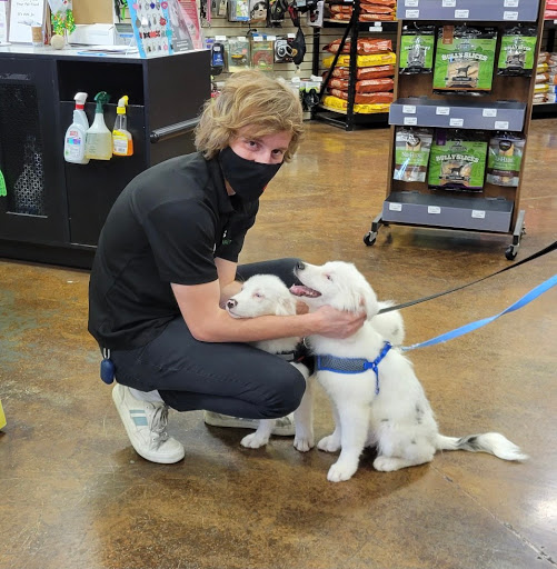 Pet Store «Choice Pet Market», reviews and photos, 20028 N 67th Ave, Glendale, AZ 85308, USA