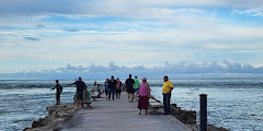 Ft Pierce Inlet State Park