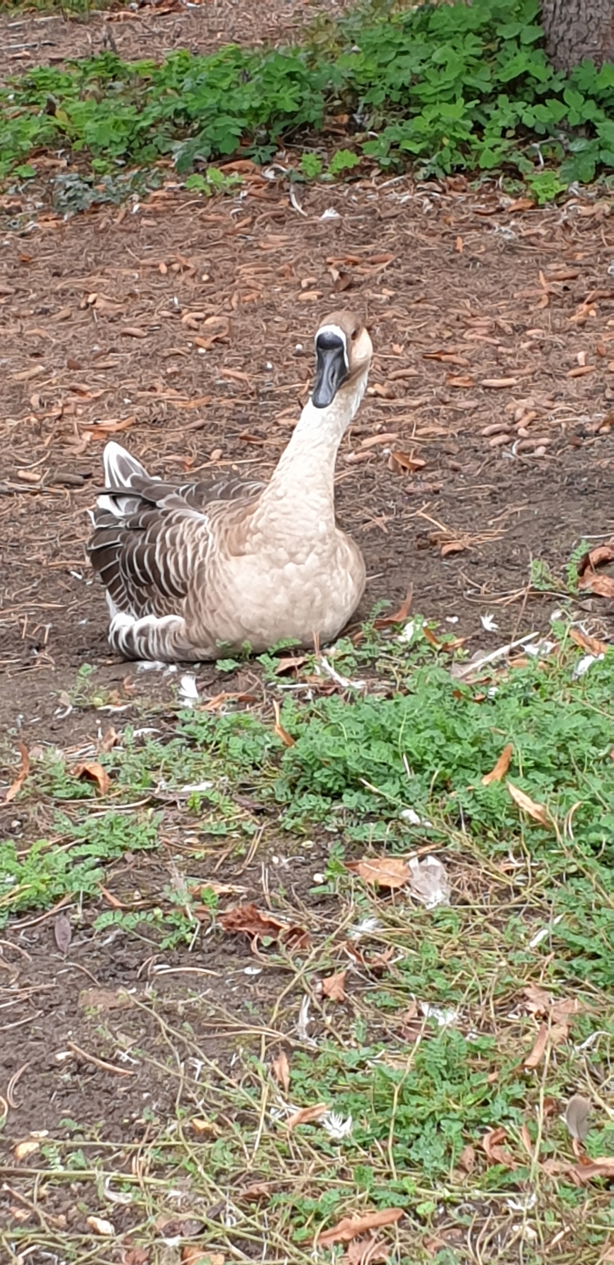 Photo n° 41 de l'avis de Julien.' fait le 23/10/2019 à 14:35