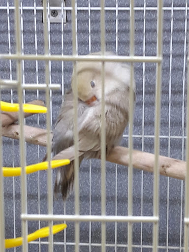 Pet Store «Animal Ark Pet Stores», reviews and photos, 33 Center St, Orem, UT 84057, USA