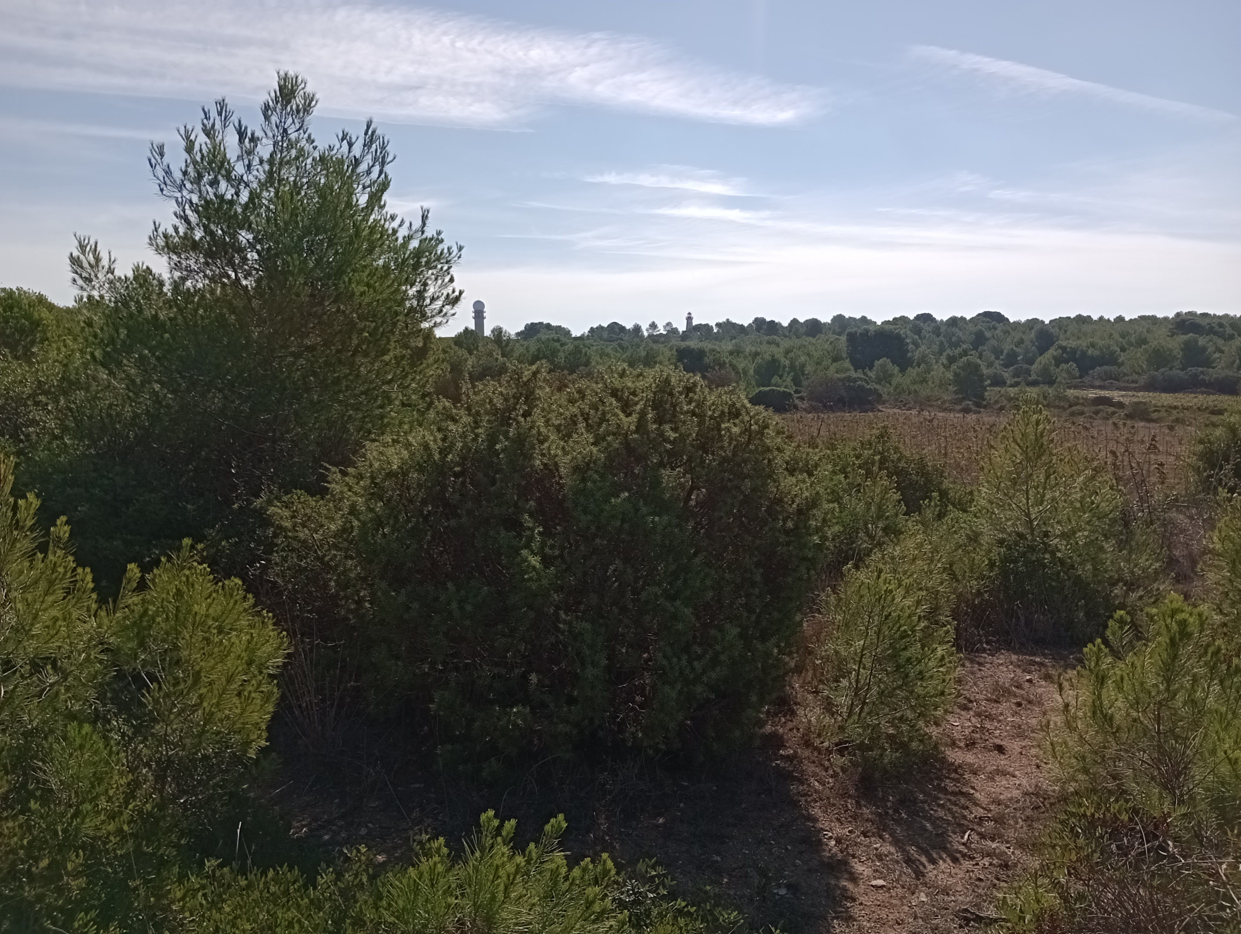 Photo n° 10 de l'avis de Koen.e fait le 01/10/2023 à 10:12