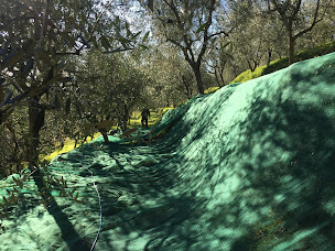 Photo n°5 de Adolive à L'Escarène ()