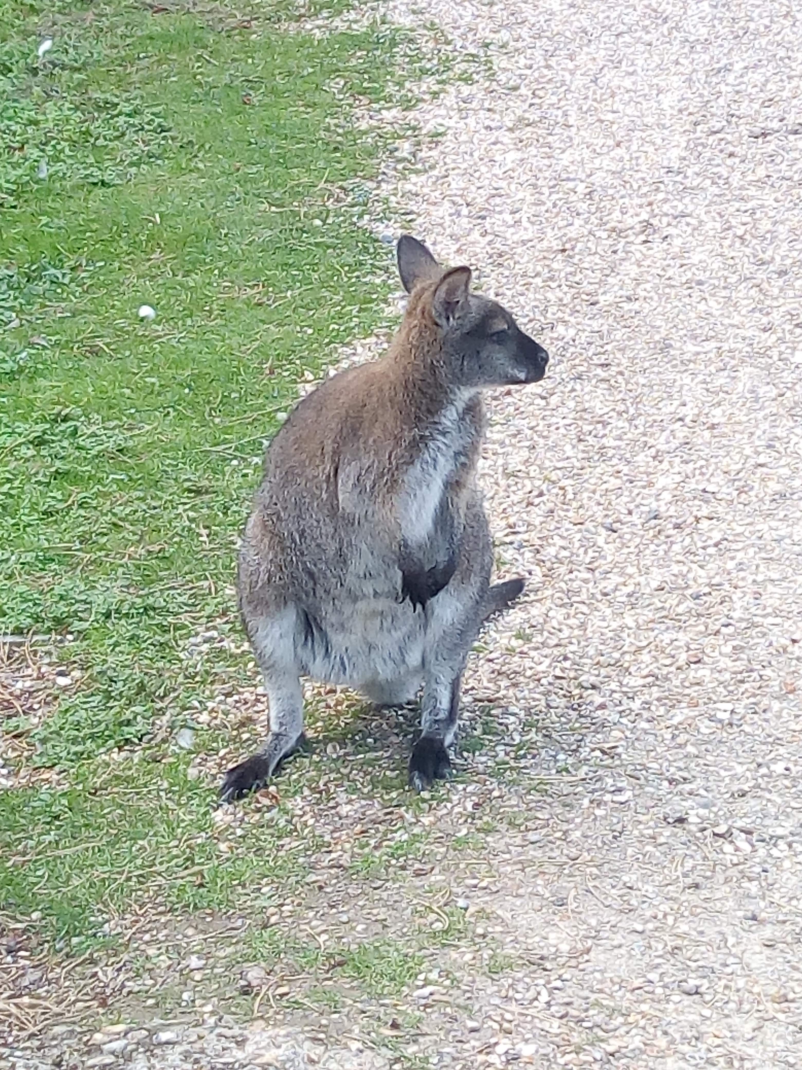 Photo n° 3 de l'avis de France.u fait le 11/10/2018 à 15:31