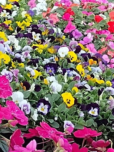 Home Improvement Store «The Home Depot», reviews and photos, 510 Orange Dr, Vacaville, CA 95687, USA