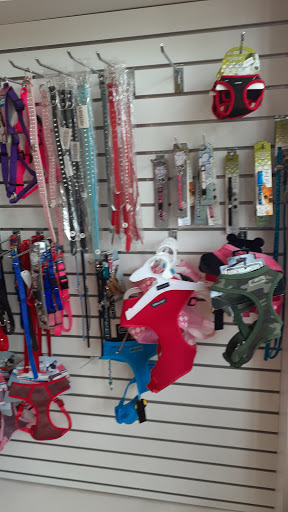 Pet Store «South Beach Pet Shop», reviews and photos, 634 6th St, Miami Beach, FL 33139, USA