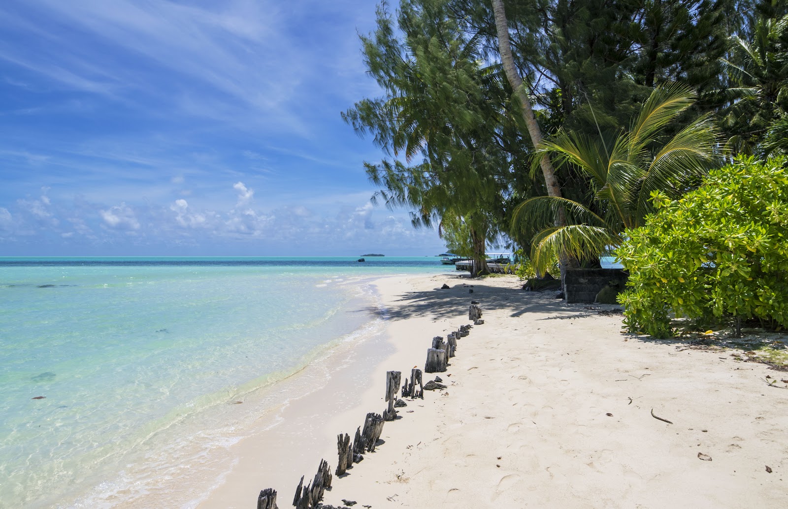 Foto av Carp Island Resort med vit sand yta