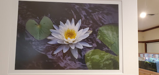 Nature Preserve «Grassy Waters Preserve», reviews and photos, 8264 Northlake Blvd, West Palm Beach, FL 33412, USA