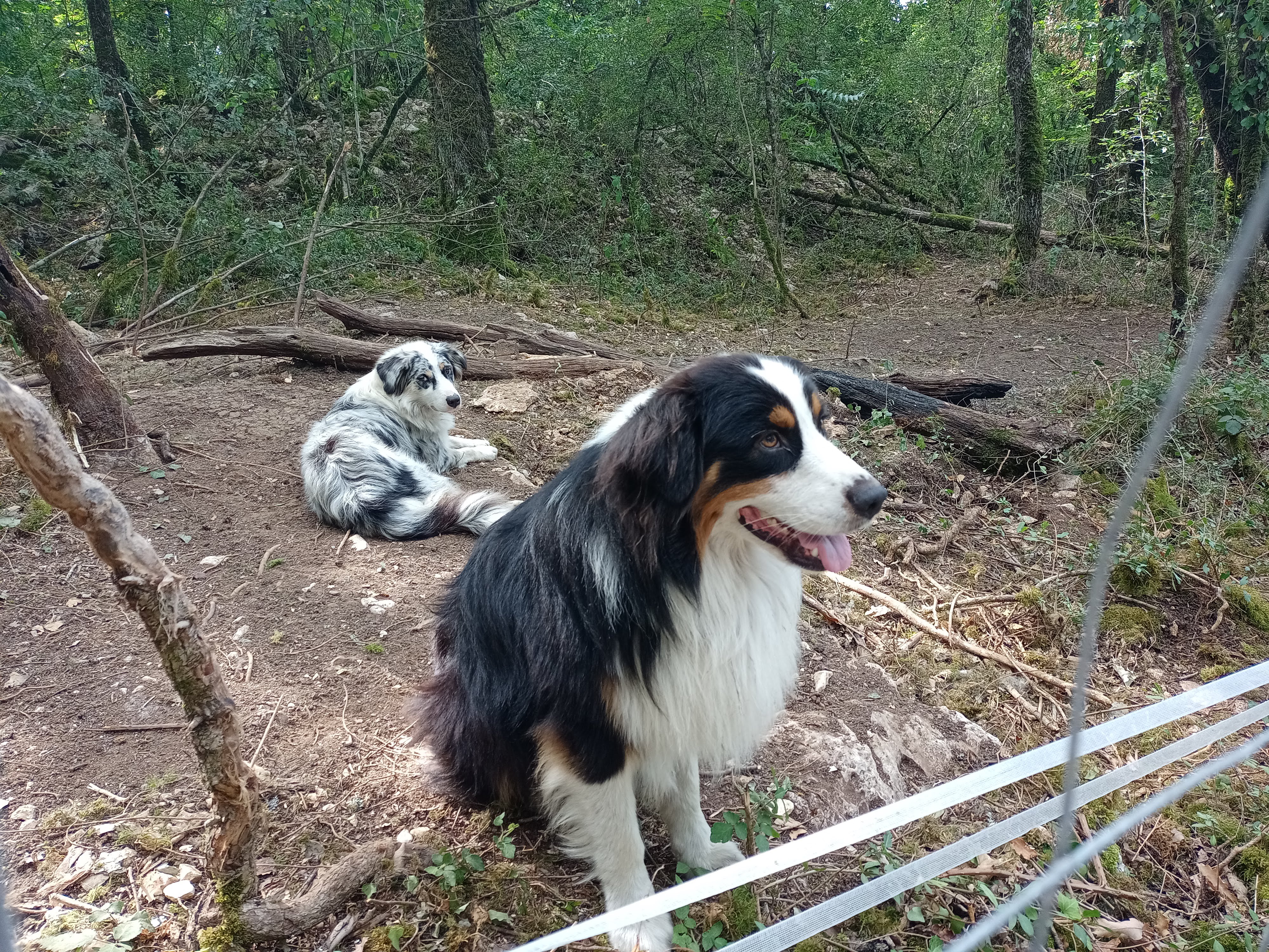 Photo n° 1 de l'avis de Sandra.e fait le 03/08/2020 à 11:13