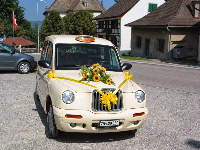 Wetziker Stadttaxi