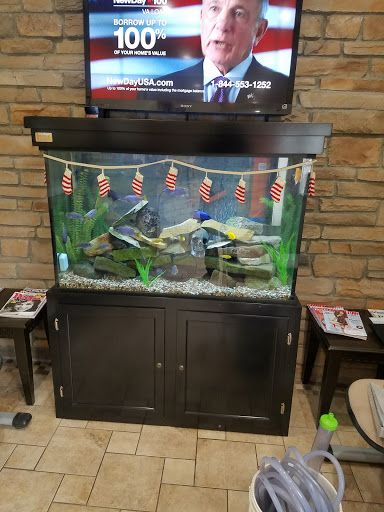 Transmission Shop «Muffler & Go», reviews and photos, 1478 N Leroy St, Fenton, MI 48430, USA