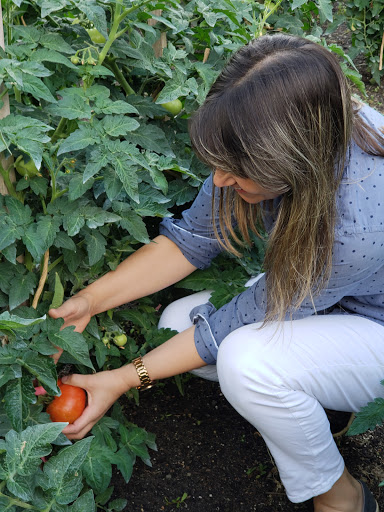 Health Food Store «Vineyard Grocer», reviews and photos, 294 State Rd, Vineyard Haven, MA 02568, USA