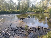 All About Dogs - Car repair in , Baltimore - Rated 5.0/5