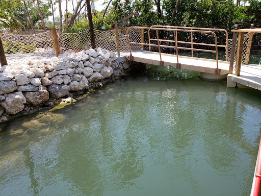 Aquarium «Florida Keys Aquarium Encounters», reviews and photos, 11710 Overseas Hwy, Marathon, FL 33050, USA