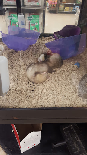 Pet Supply Store «Petco Animal Supplies», reviews and photos, 1753 St Lucie W Blvd, Port St Lucie, FL 34986, USA