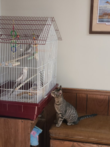 Girard Animal Hospital image