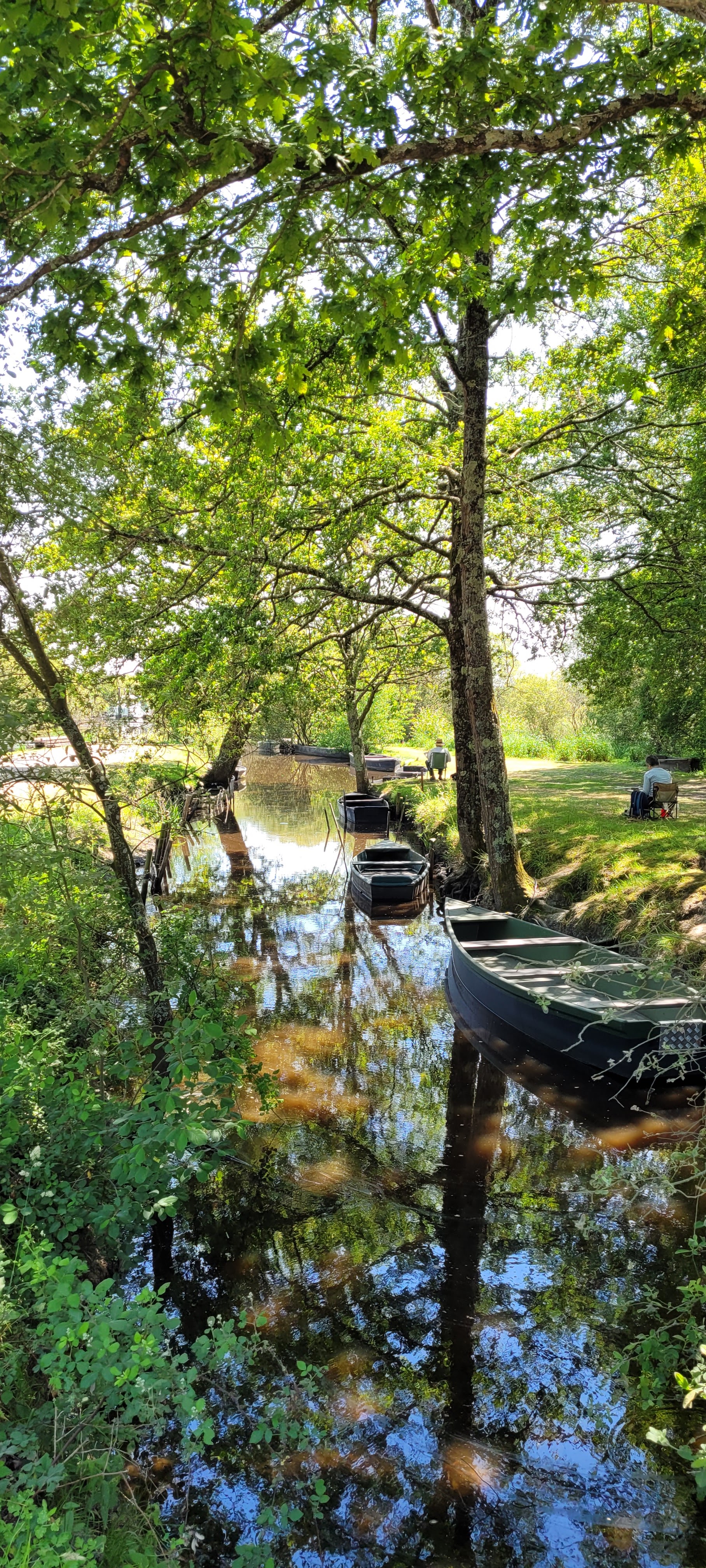 Photo n° 9 de l'avis de Didier.e fait le 04/06/2023 à 16:15
