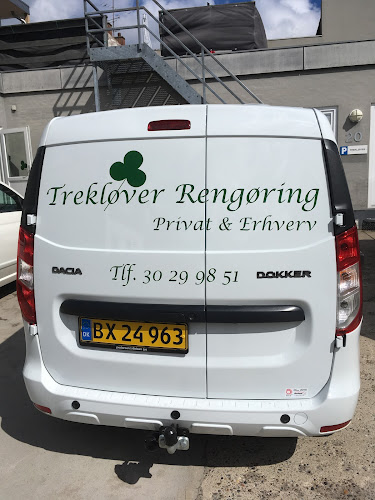 treklover-rengoring.dk