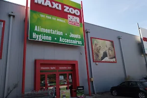 Maxi Zoo Orange image