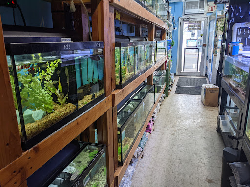 Tropical Fish Store «Aquariums By JJ», reviews and photos, 33 Hamburg Turnpike, Riverdale, NJ 07457, USA