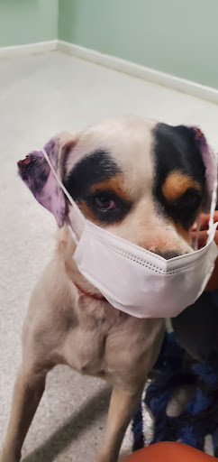 Pet Supply Store «Big Tex Feed & Pet Supply», reviews and photos, 7102 Cullen Blvd, Houston, TX 77021, USA