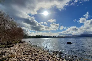 Loch Lomond National Nature Reserve (Endrick Mouth) image